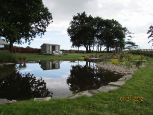 Summer House and Pond  